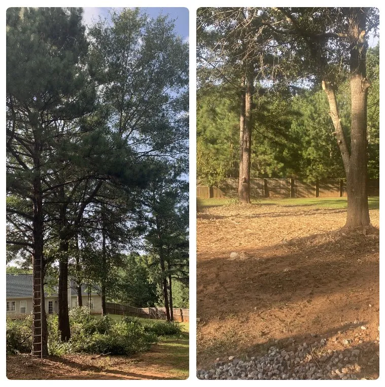 Reliable garden landscaping in McDonough, GA by TRACS Tree And Lawn Services