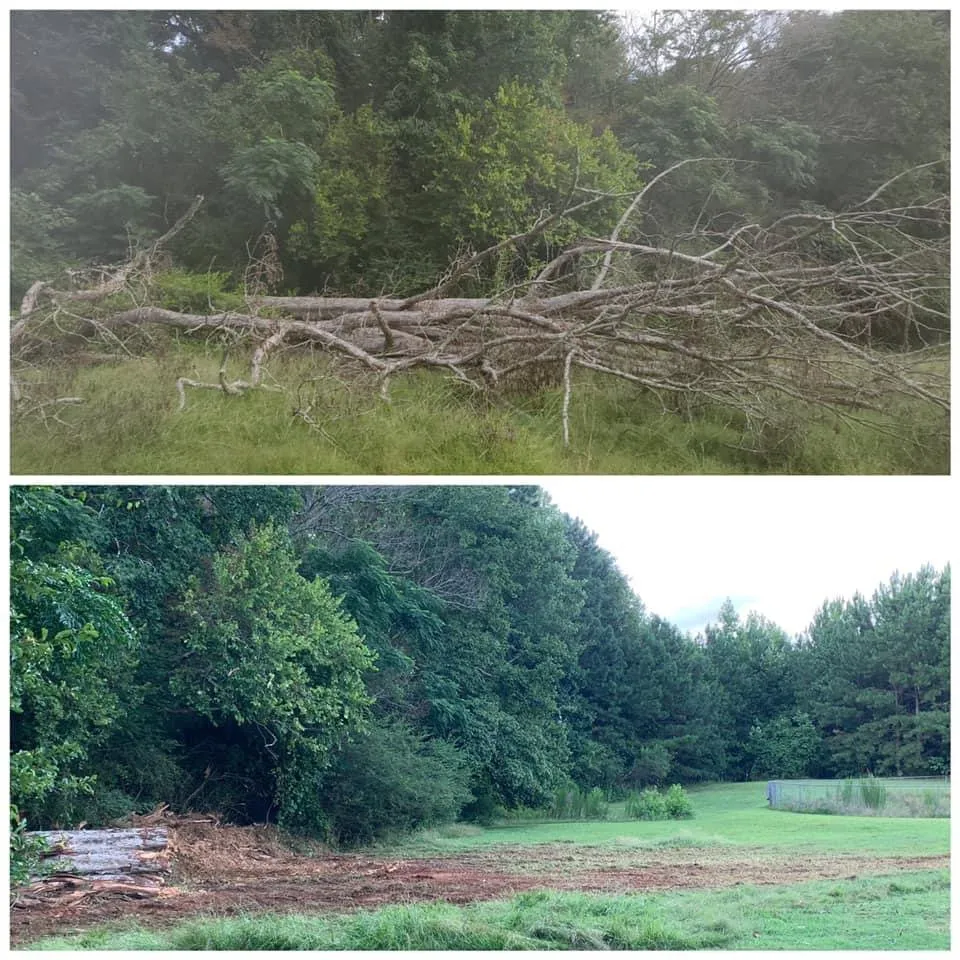 Professional garden landscaping for beautiful yards in McDonough, GA by TRACS Tree And Lawn Services