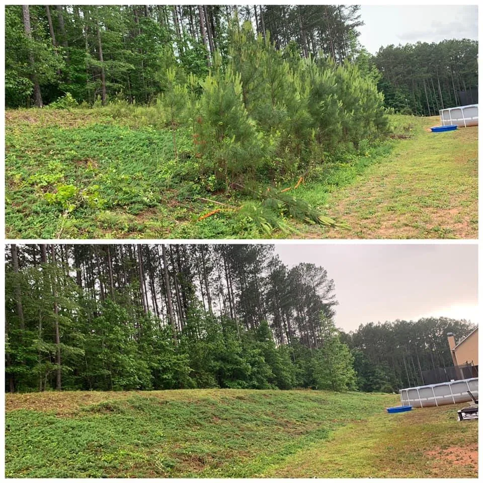 Expert lawn mowing service in McDonough, GA - TRACS Tree And Lawn Services