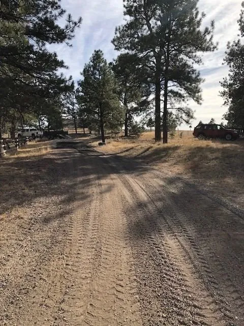 Professional landscaping services for beautiful yards in Parker, CO by Tractor Express Landscaping and Excavating