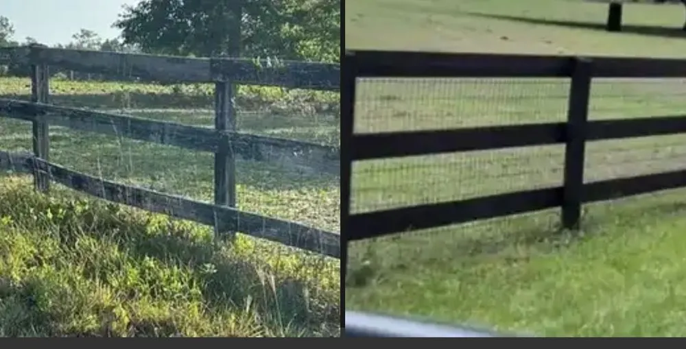 Local lawn mowing service with custom design in Morriston, FL by Tractor For Hire
