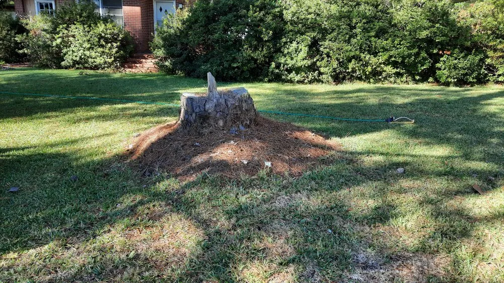 Reliable landscaping services in Phenix City, AL by Tractor Guy Landscaping