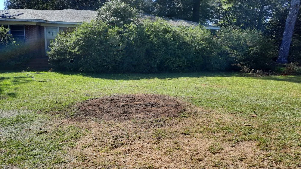 Local residential landscaping in Phenix City, AL - Tractor Guy Landscaping