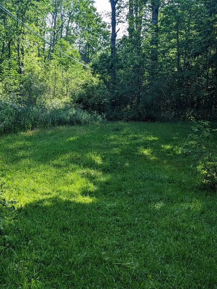 Expert yard cleanup service for residential properties across Sloansville, NY - Tractor Man Lawn Care Business