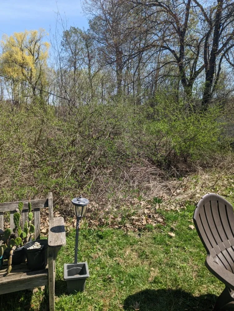 Local residential landscaping experts serving Sloansville, NY - Tractor Man Lawn Care Business