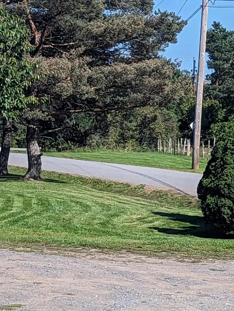 Custom landscaping services for residential properties across Sloansville, NY - Tractor Man Lawn Care Business