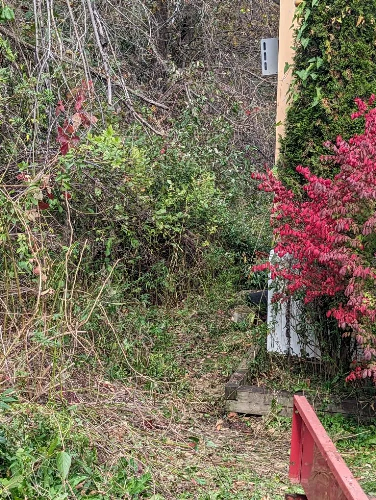 Professional landscape installation in Sloansville, NY - Tractor Man Lawn Care Business