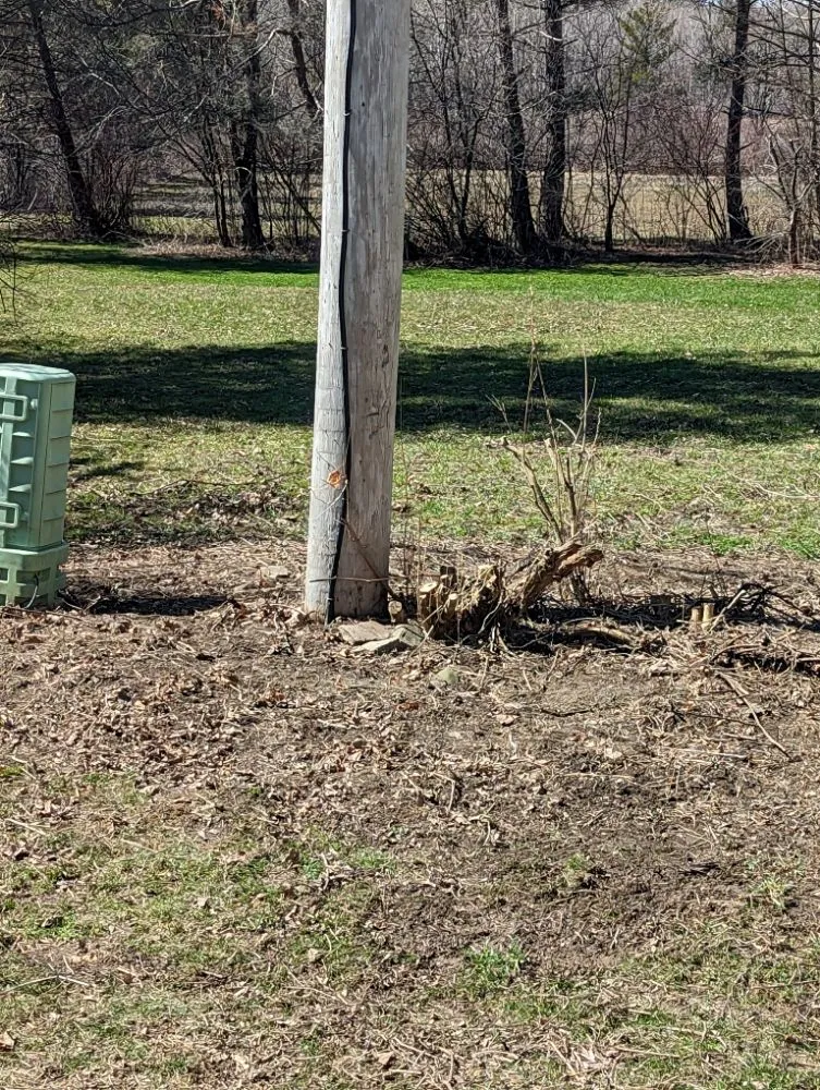 Expert yard cleanup service in Sloansville, NY - Tractor Man Lawn Care Business