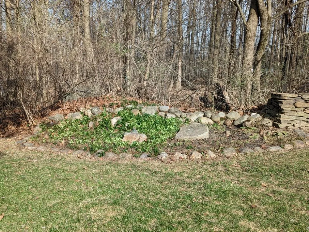 Professional yard maintenance near you in Sloansville, NY by Tractor Man Lawn Care Business