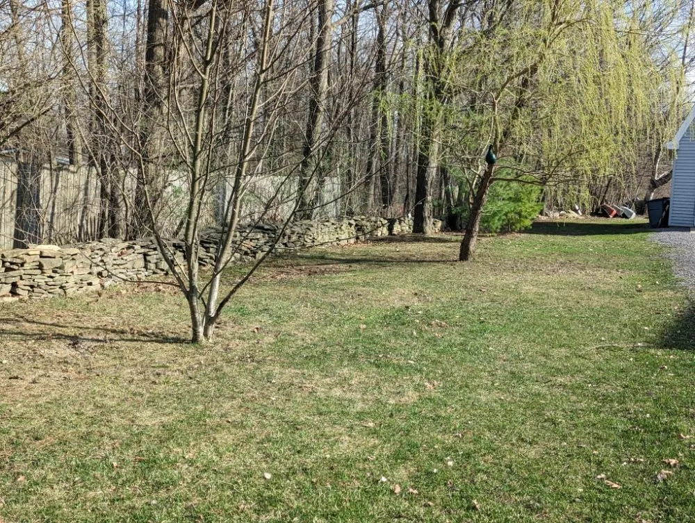 Professional residential landscaping in Sloansville, NY by Tractor Man Lawn Care Business