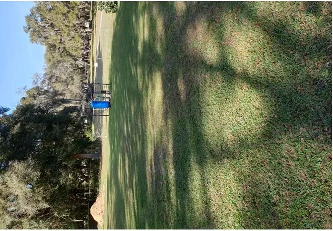 Expert outdoor landscaping experts serving Zephyrhills, FL - Tractor Property Service