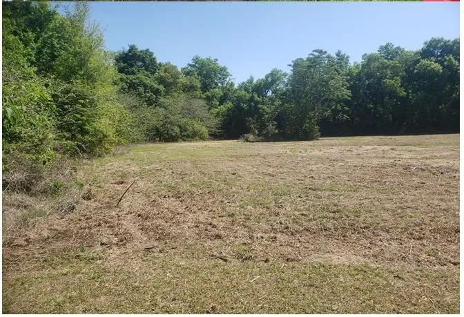 Reliable landscape installation in Zephyrhills, FL by Tractor Property Service