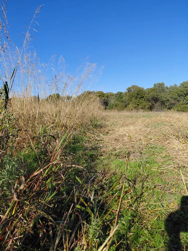 Professional yard maintenance in Springtown, TX - Tractor Works