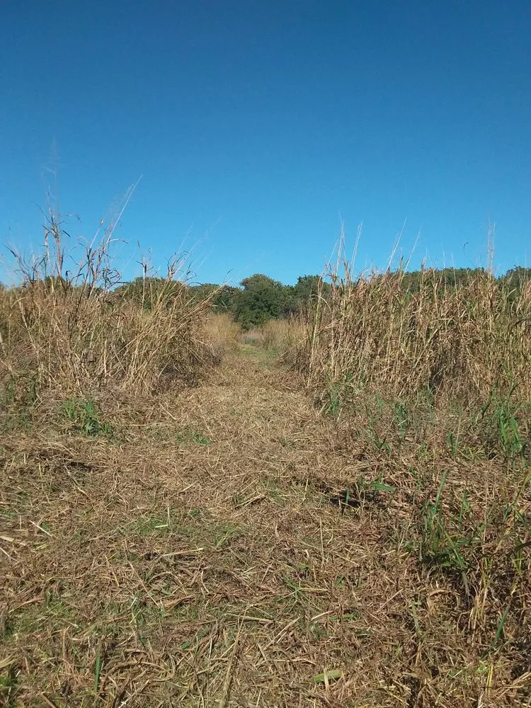 Expert yard maintenance in Springtown, TX - Tractor Works