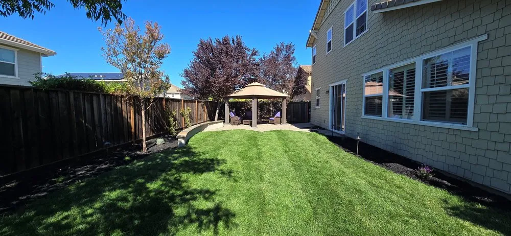 Trusted yard cleanup service experts serving Tracy, CA - Tracy Landscape