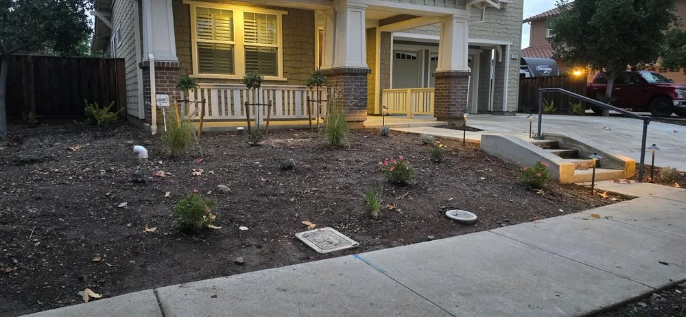 Affordable yard cleanup service in Tracy, CA by Tracy Landscape