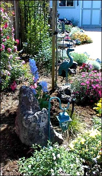 Reliable yard maintenance experts serving Tracy, CA - Tracy Landscaper