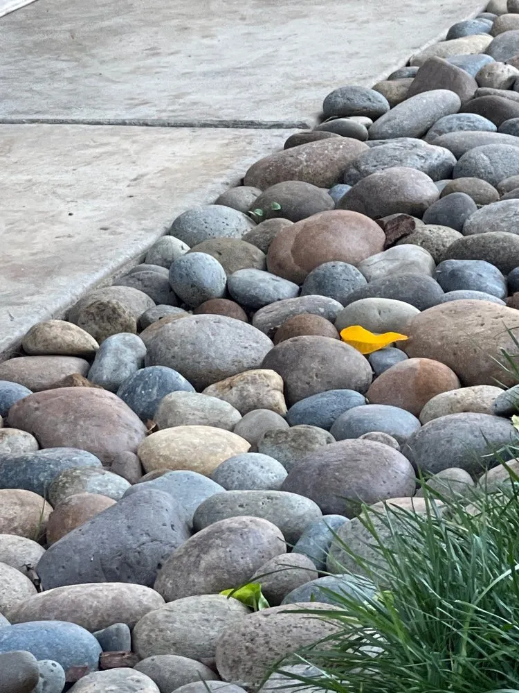 Expert outdoor landscaping for beautiful yards across Tracy, CA - Tracy Top Soil