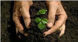 Trusted residential landscaping for outdoor upgrades in Tracy, CA by Tracy Top Soil