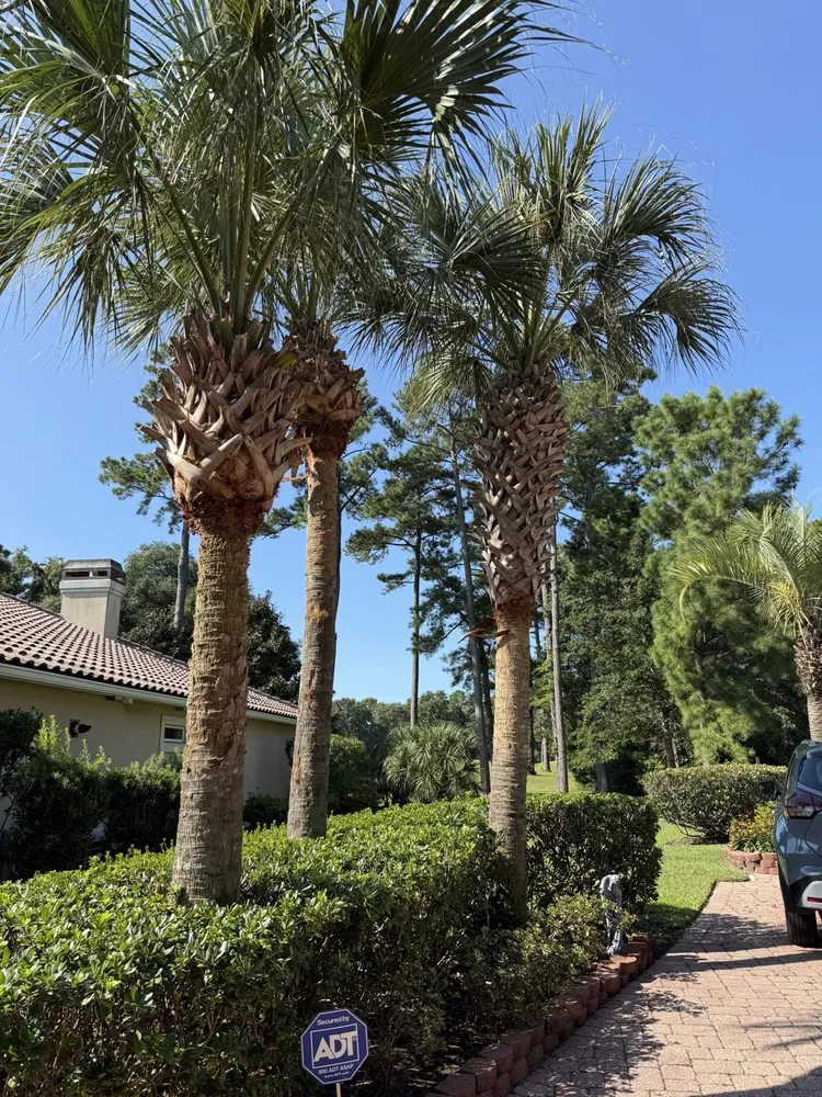 Reliable landscape installation for year-round maintenance in Myrtle Beach, SC by Tracy's Lawn & Landscaping