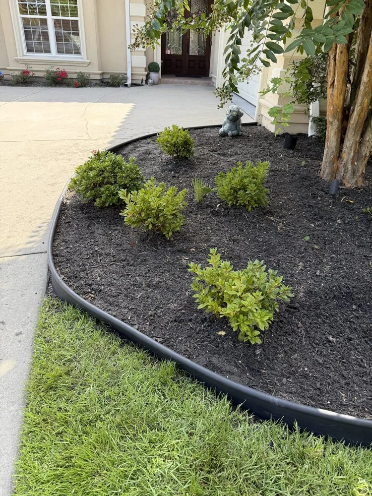 Trusted yard maintenance in Myrtle Beach, SC - Tracy's Lawn & Landscaping