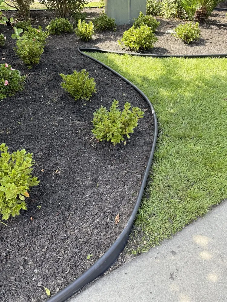 Expert yard maintenance experts serving Myrtle Beach, SC - Tracy's Lawn & Landscaping