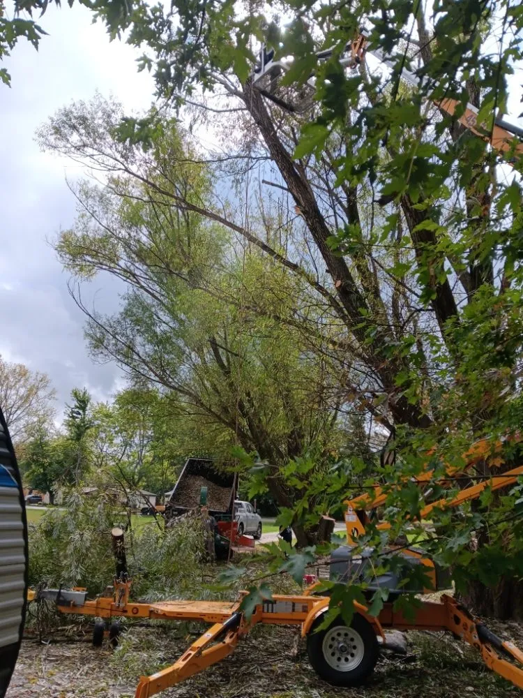 Top-rated yard cleanup service experts serving Strongsville, OH - Trade & Barter Labor