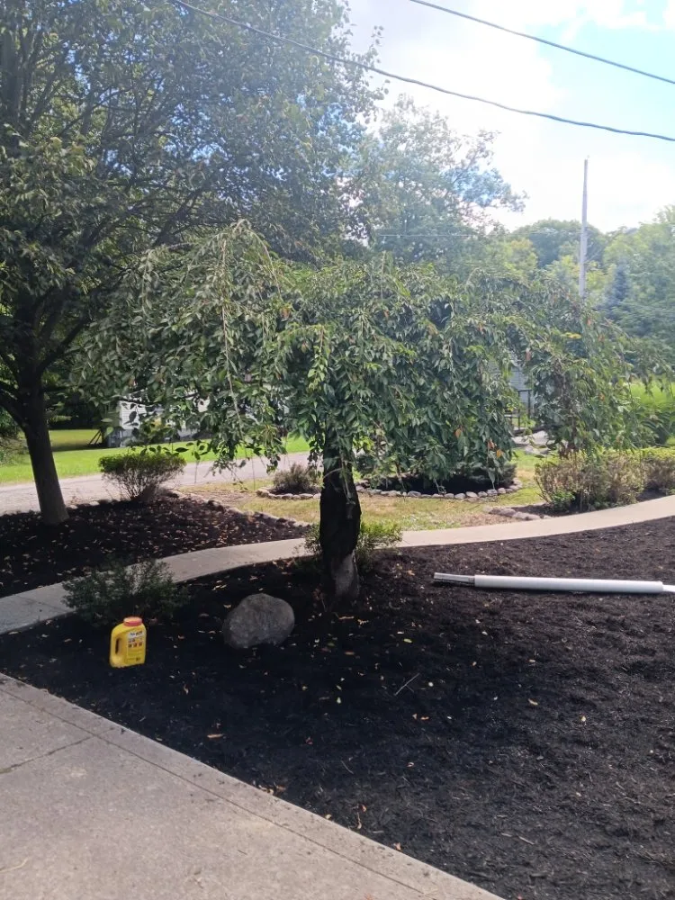 Trusted landscape installation in Strongsville, OH - Trade & Barter Labor