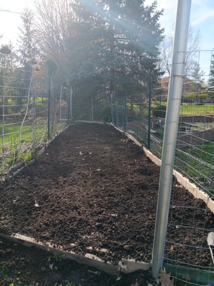 Reliable lawn care service in Strongsville, OH - Trade & Barter Labor