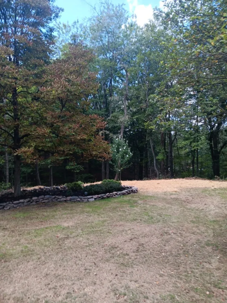 Expert lawn care service experts serving Strongsville, OH - Trade & Barter Labor