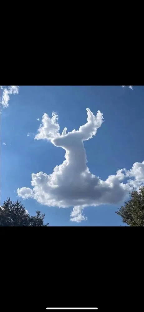 Expert garden landscaping for homes in Strongsville, OH by Trade & Barter Labor