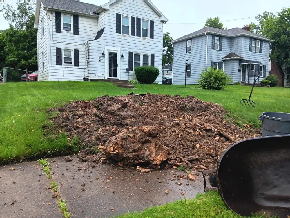 Top-rated outdoor landscaping experts serving Strongsville, OH - Trade & Barter Labor