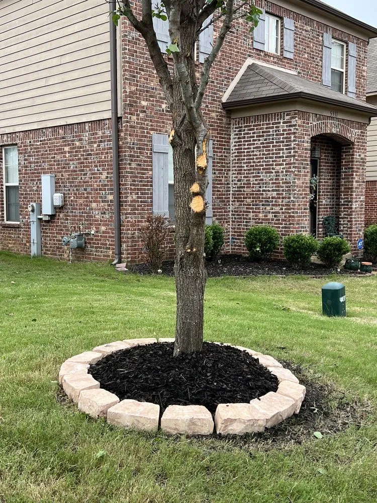 Affordable landscape design in Ripley, TN - Trade Pros Landscaping
