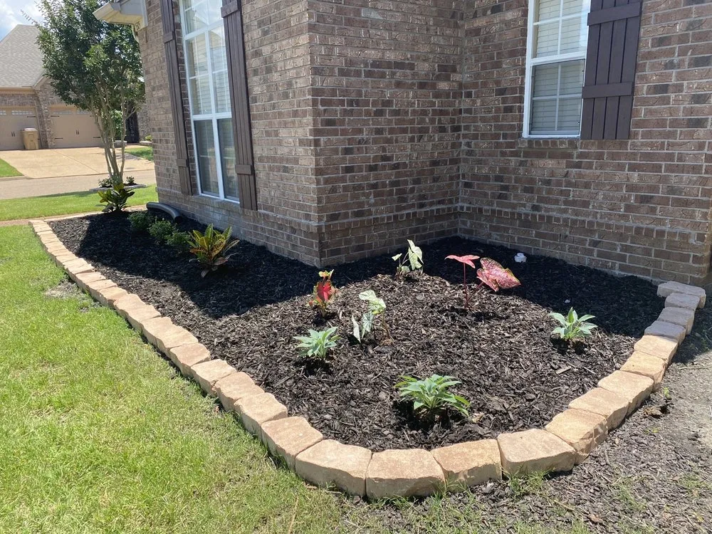 Professional lawn care service in Ripley, TN by Trade Pros Landscaping