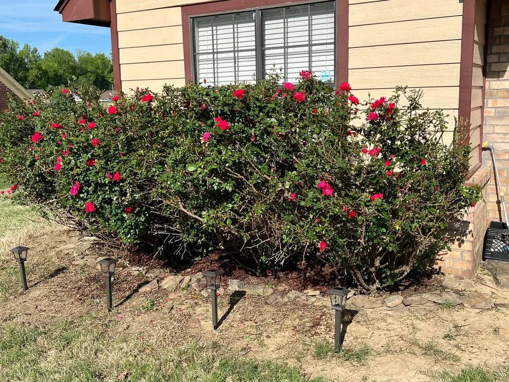 Top-rated outdoor landscaping in Ripley, TN - Trade Pros Landscaping