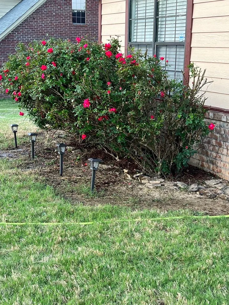 Professional landscaping services in Ripley, TN by Trade Pros Landscaping