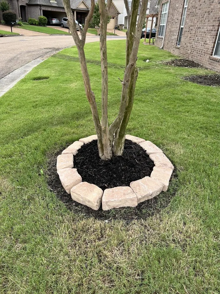 Top-rated garden landscaping near you across Ripley, TN - Trade Pros Landscaping