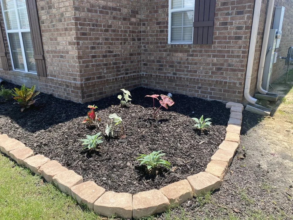 Expert yard cleanup service in Ripley, TN - Trade Pros Landscaping