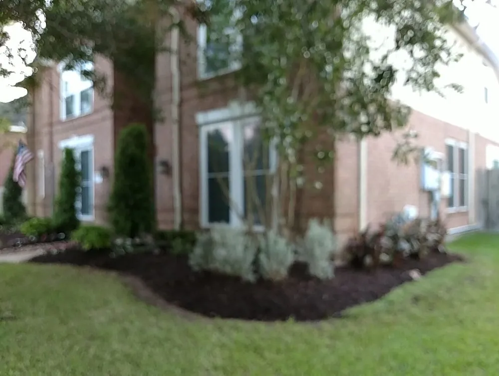 Professional residential landscaping for year-round maintenance in Webster, TX by Trademark Landscape