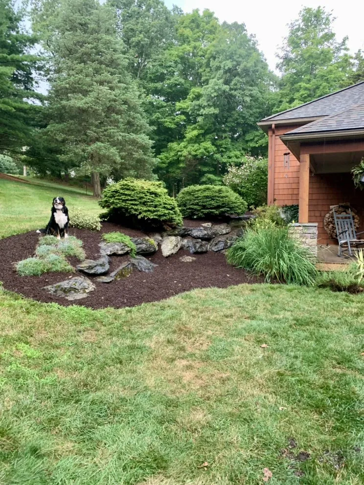 Trusted yard maintenance in Stroudsburg, PA - Trademind & Scapes