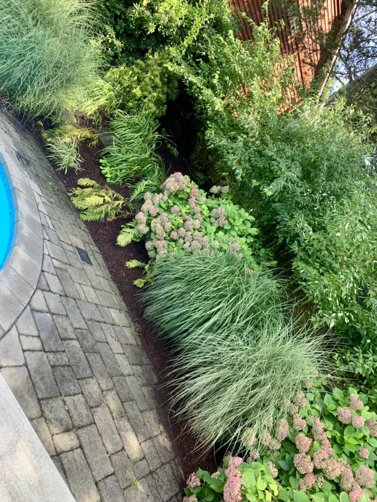Professional landscape installation near you in Stroudsburg, PA by Trademind & Scapes