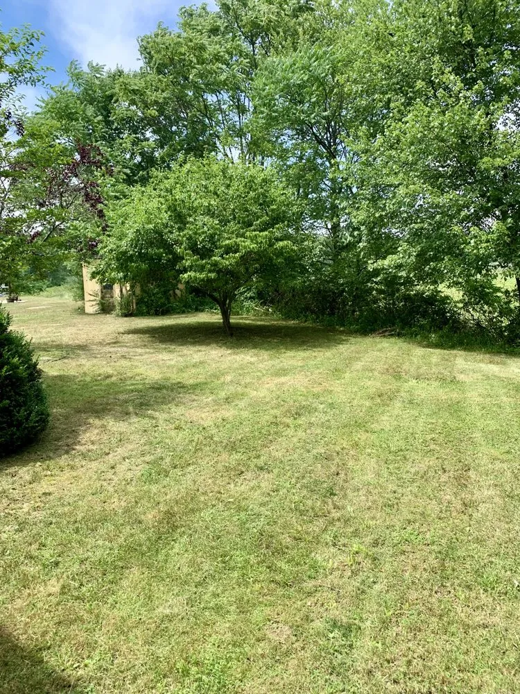 Custom lawn care service for year-round maintenance in Stroudsburg, PA by Trademind & Scapes