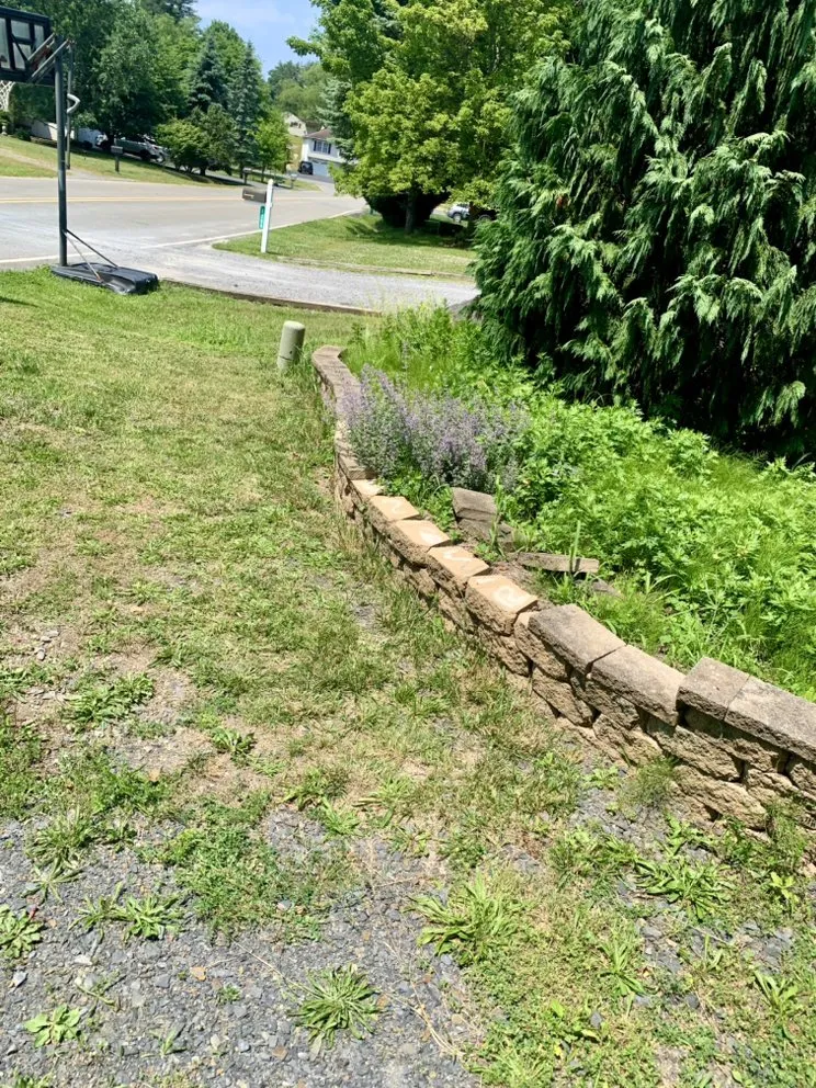 Local lawn care service in Stroudsburg, PA by Trademind & Scapes