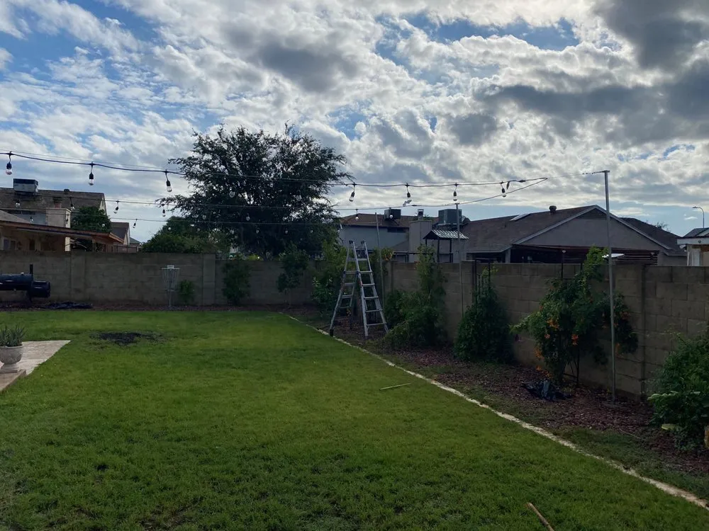 Local landscaping services in Scottsdale, AZ by Trader's Trunk