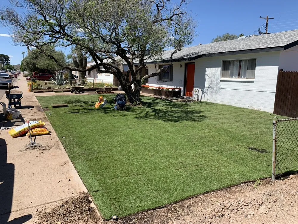 Affordable yard cleanup service near you in Scottsdale, AZ by Trader's Trunk