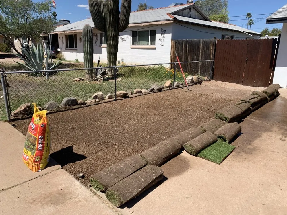 Top-rated outdoor landscaping with custom design in Scottsdale, AZ by Trader's Trunk