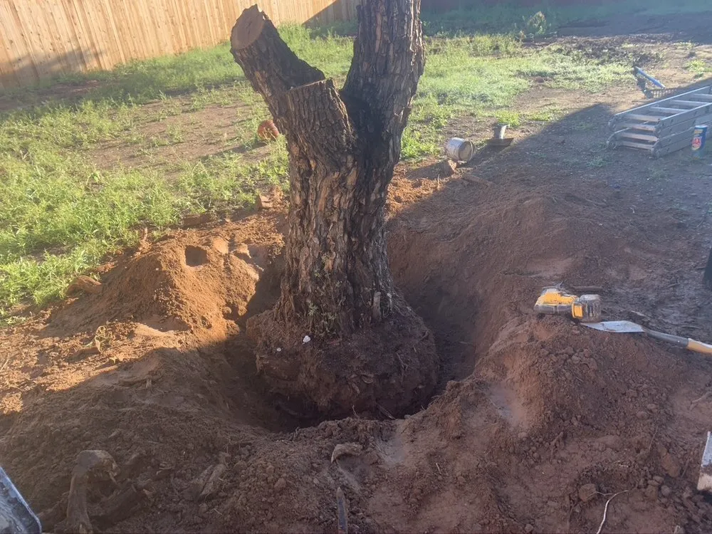 Custom yard cleanup service for outdoor upgrades in Scottsdale, AZ by Trader's Trunk