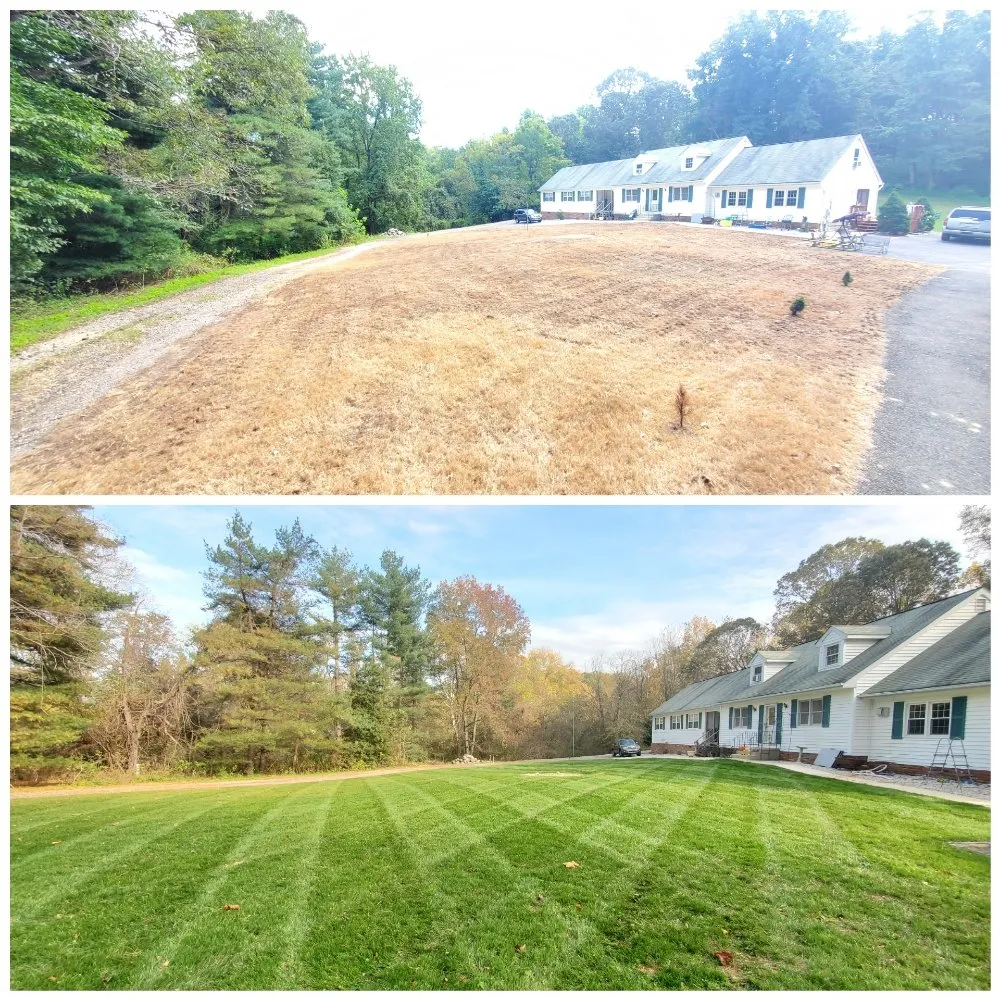 Affordable yard cleanup service in Owings, MD by Trades By The Bay