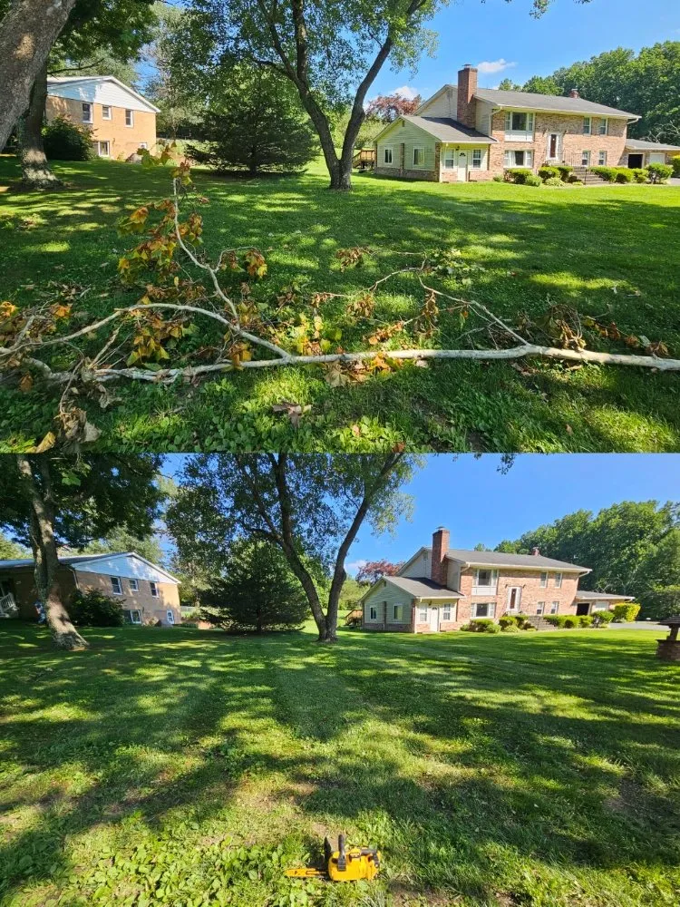 Professional landscaping services experts serving Owings, MD - Trades By The Bay