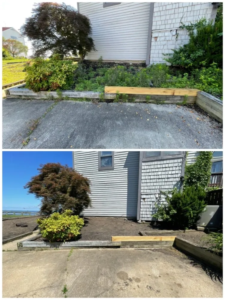 Top-rated yard cleanup service for year-round maintenance across Owings, MD - Trades By The Bay